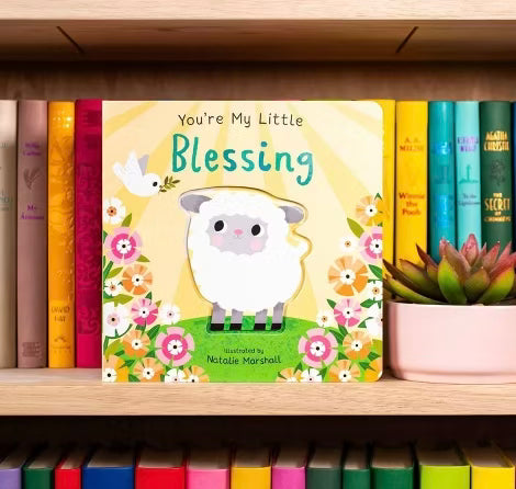 You’re my little blessing board book