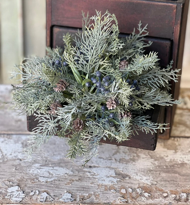 Siberian Cypress Half Sphere - Blue