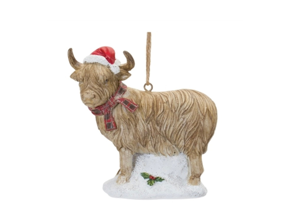 Highland Cow - Two styles