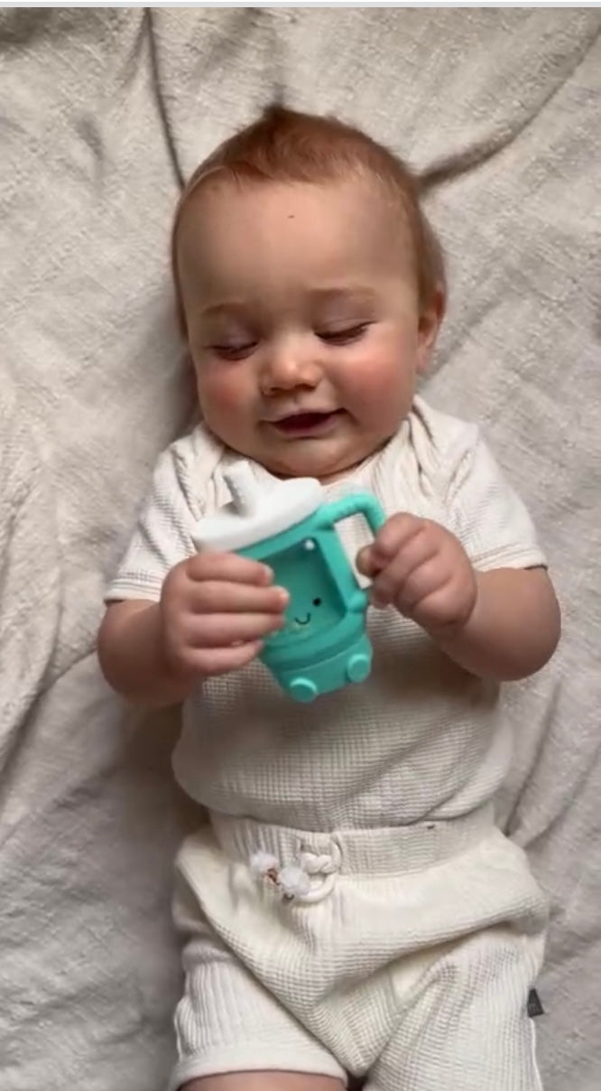 Teether Rattle - Sweetie Shake