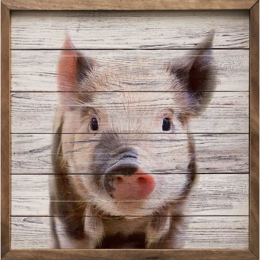 Spotted Pig Face Framed Sign