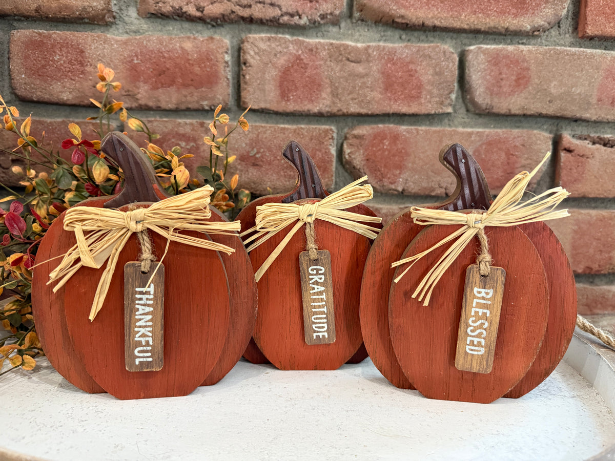 Orange Pumpkins - 3 Styles