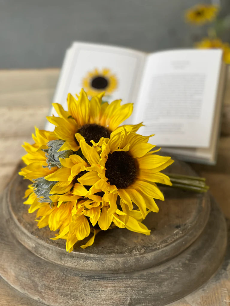 Suncup Blooms Bundle