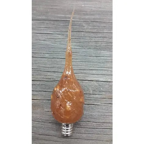 Caramel Apple bulb