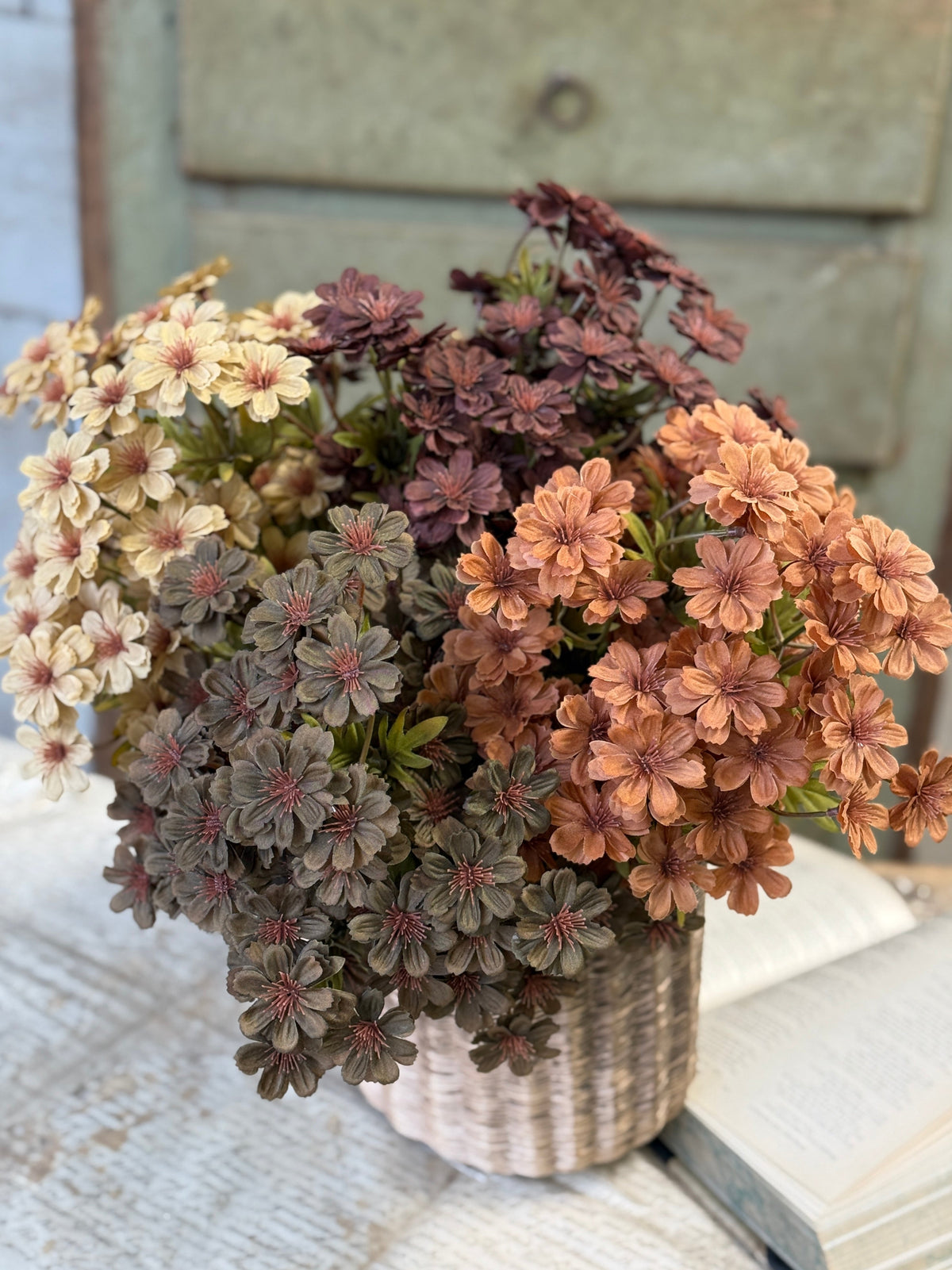 Courtland Cosmos - 4 Colors