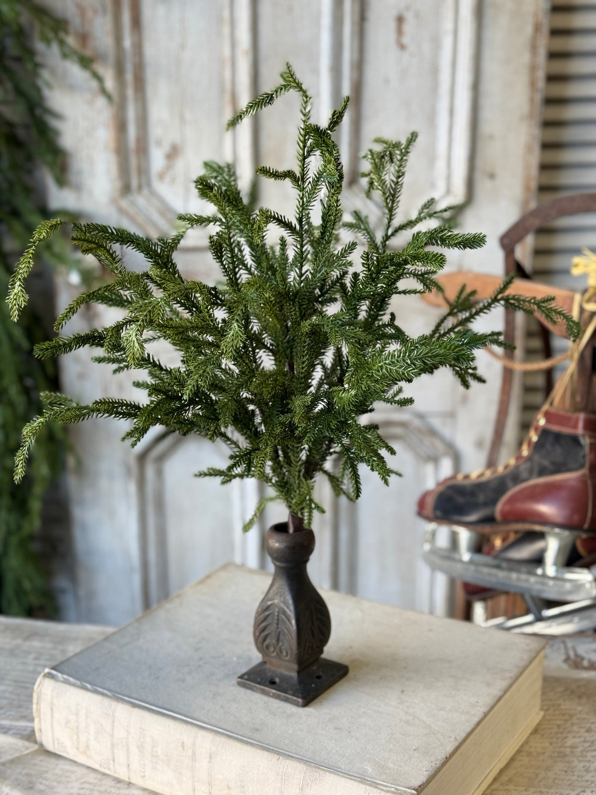 Greenwood Valley Bush