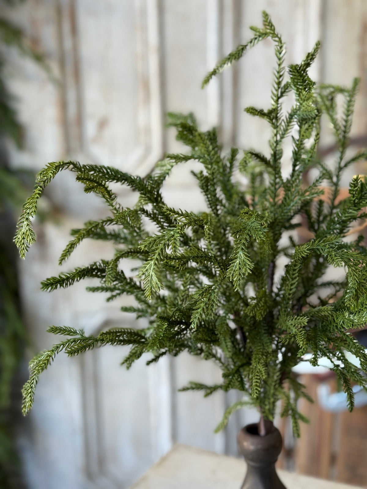 Greenwood Valley Bush