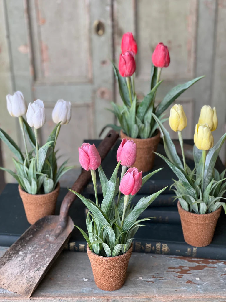 Holland Tulip Pot - 4 Styles