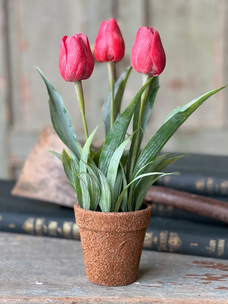 Holland Tulip Pot - 4 Styles