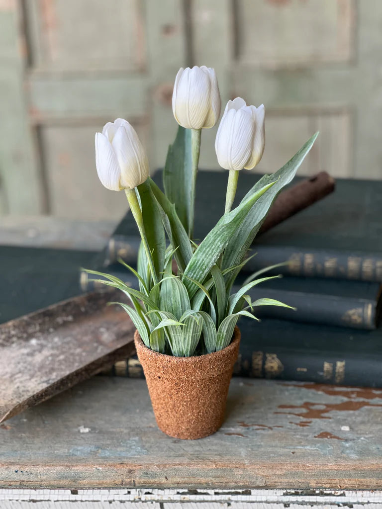 Holland Tulip Pot - 4 Styles