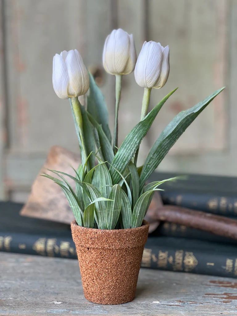 Holland Tulip Pot - 4 Styles