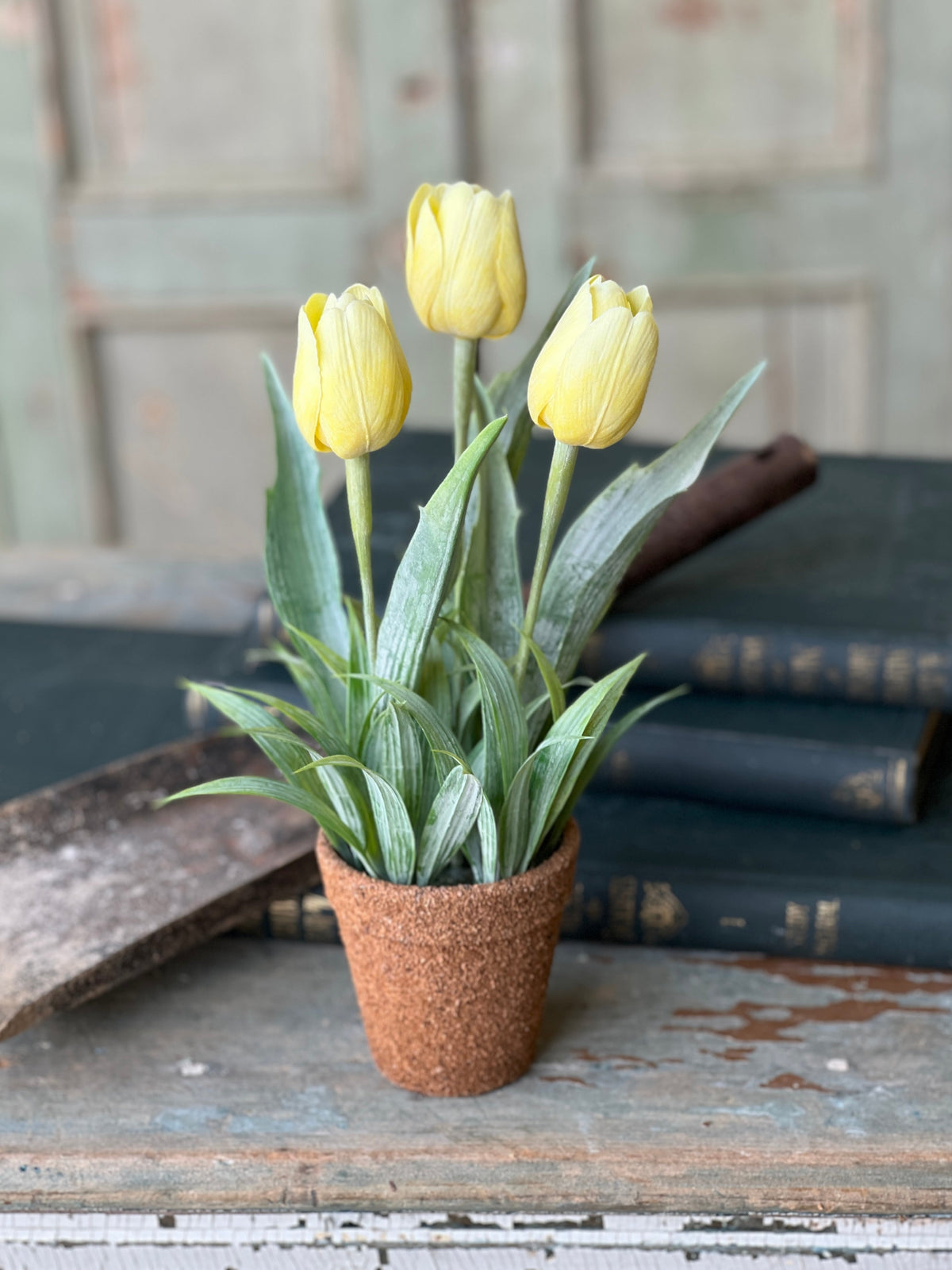 Holland Tulip Pot - 4 Styles
