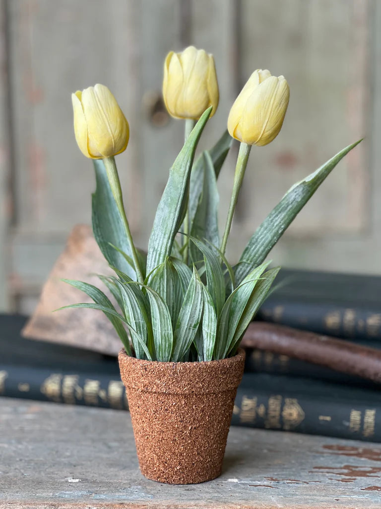 Holland Tulip Pot - 4 Styles