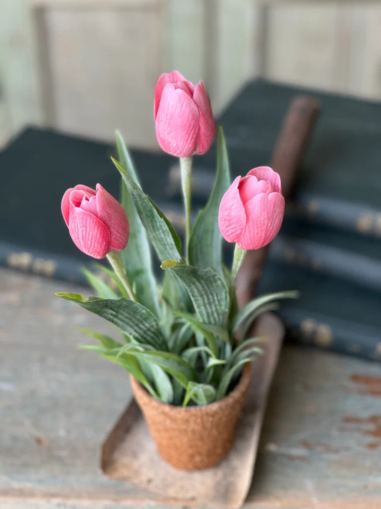 Holland Tulip Pot - 4 Styles
