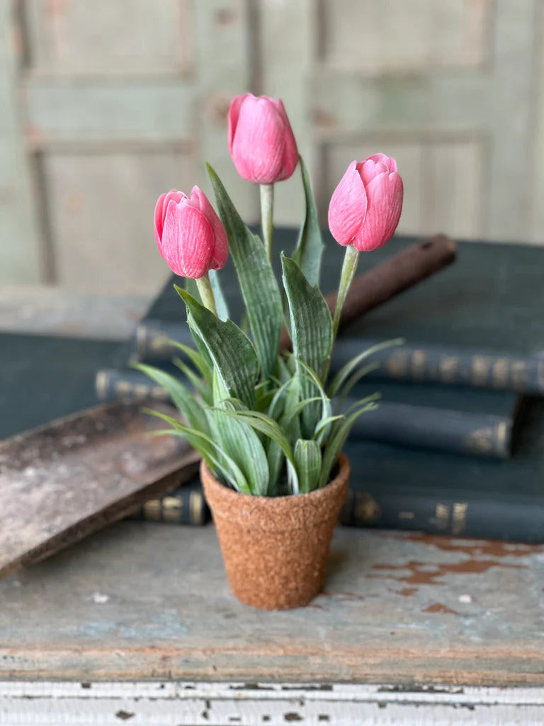 Holland Tulip Pot - 4 Styles