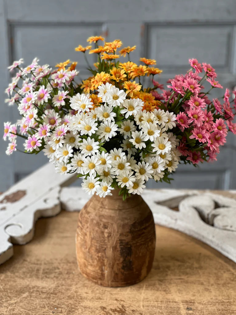 Curtsy Daisy Bush - 4 Styles