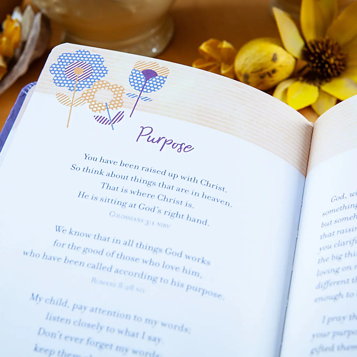 Prayers &amp; Promises for Grandmas