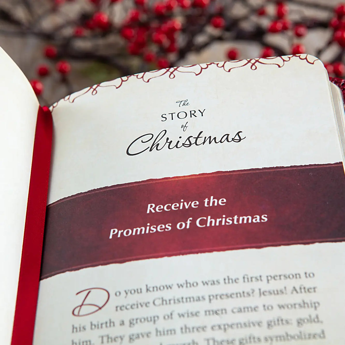 The Story of Christmas Devotional