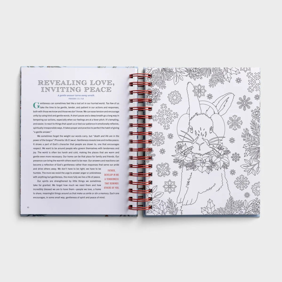 Cozy Moments to Calm your Heart: Devotional Coloring Book