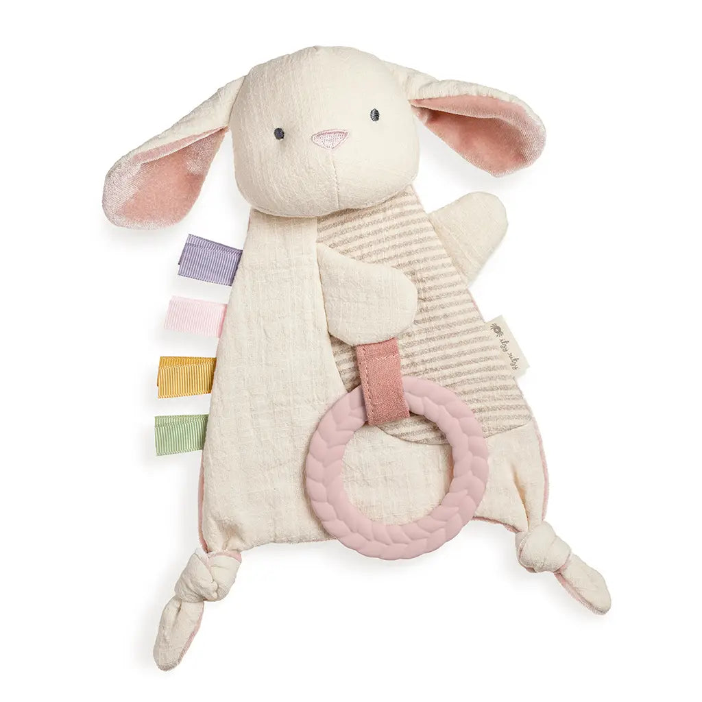 Itzy Bunny Crinkle Toy