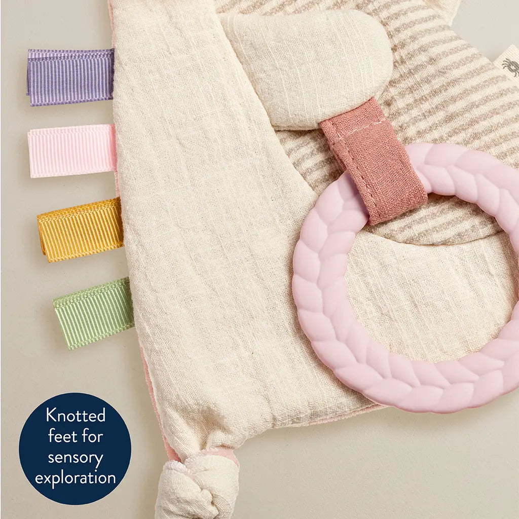 Itzy Bunny Crinkle Toy