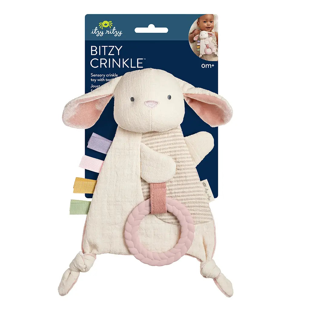 Itzy Bunny Crinkle Toy