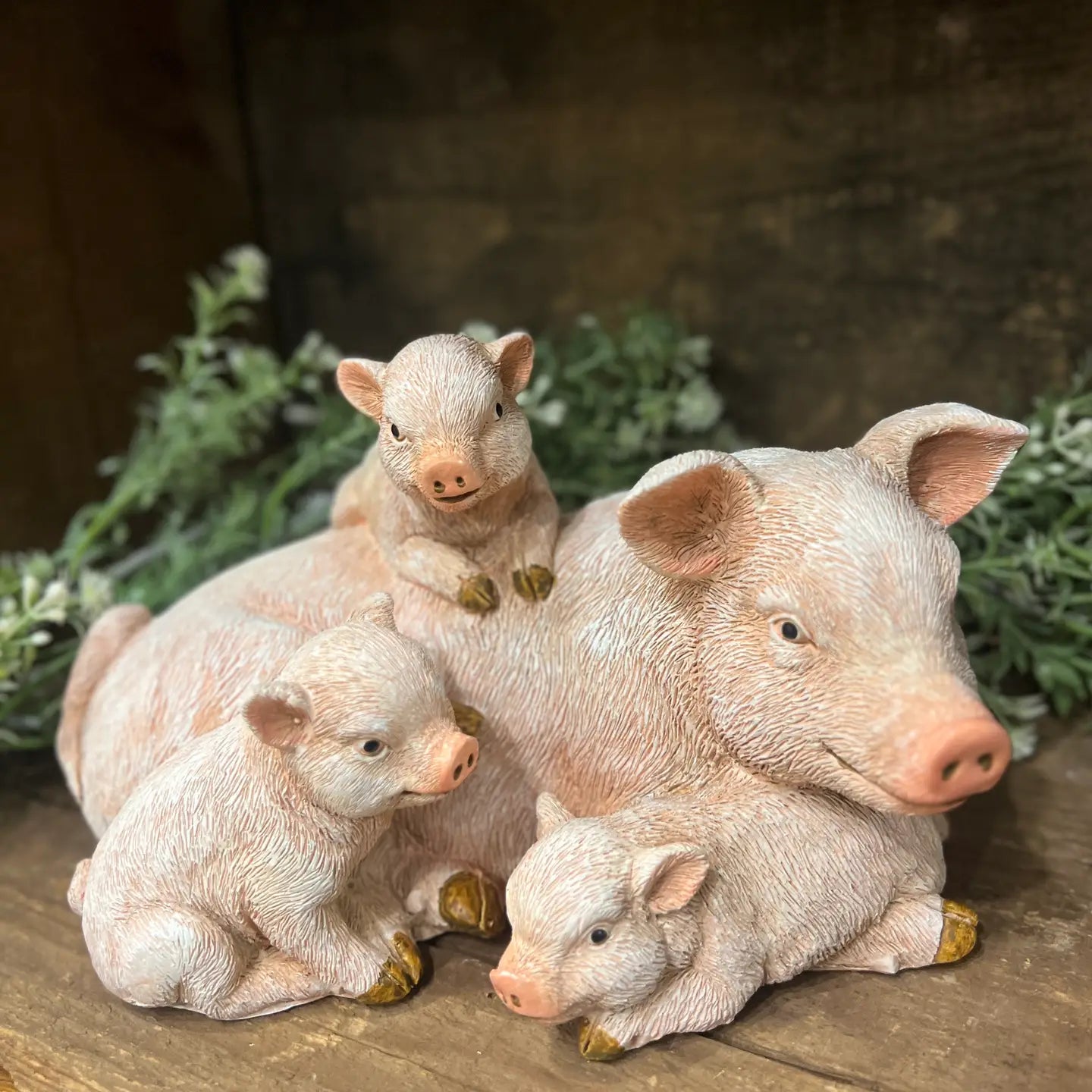 Pig Family