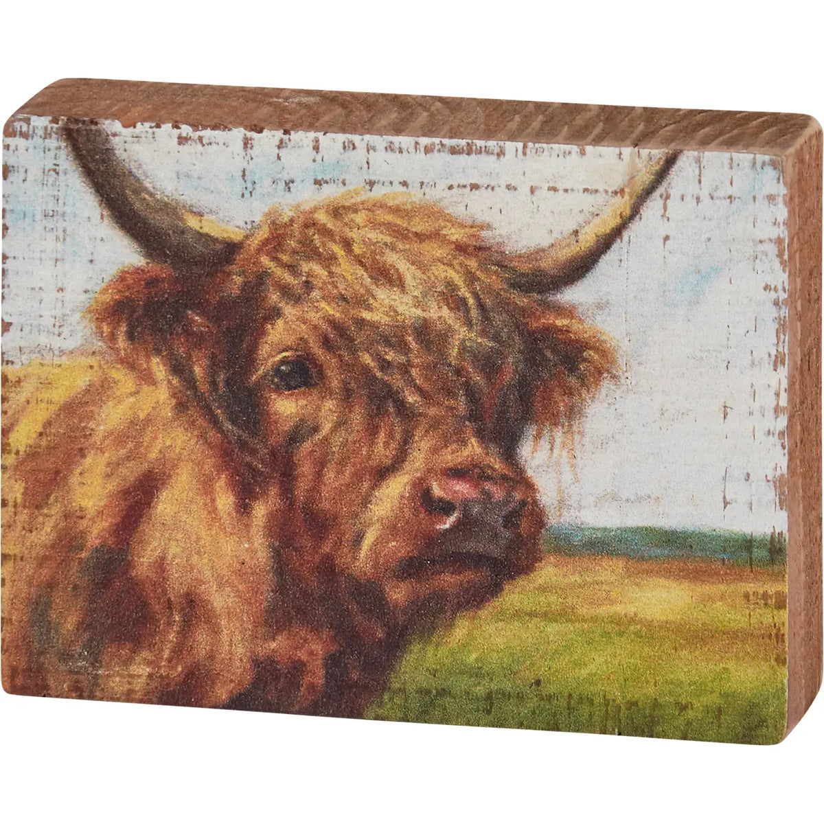 Highland Cow Block Sign