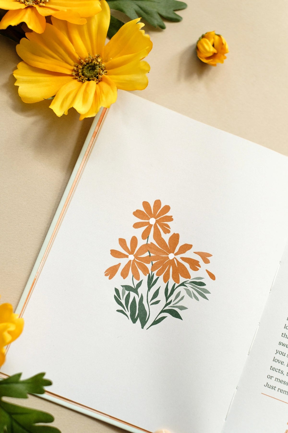 Unfiltered Devotions for Women