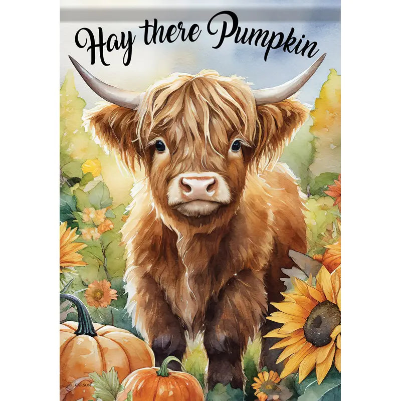 Hey There Pumpkin Garden Flag