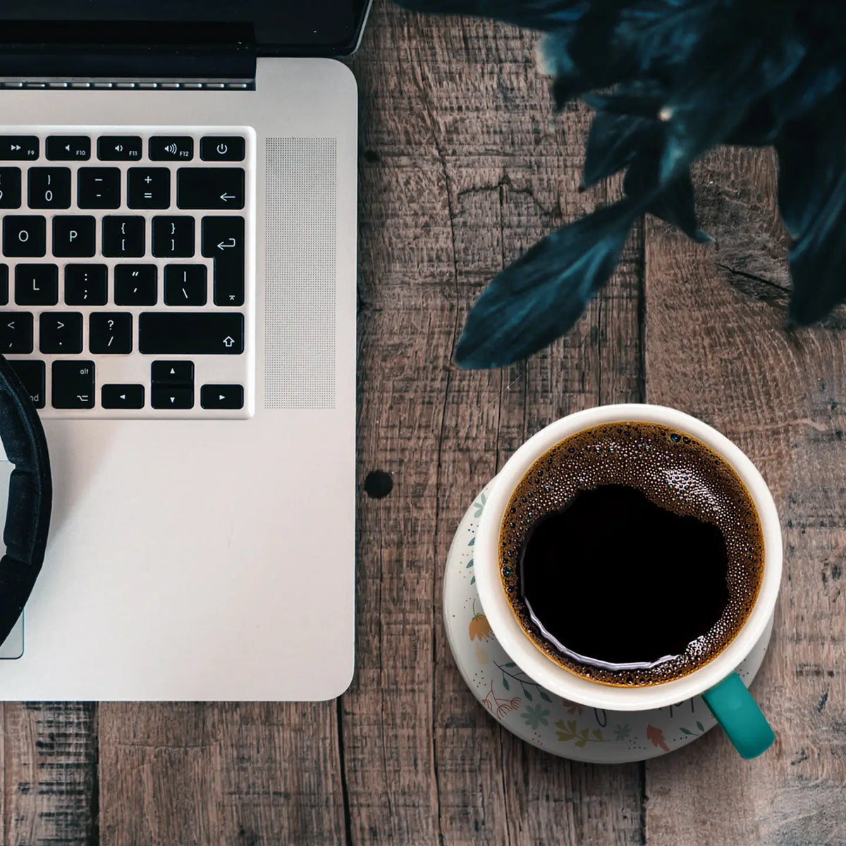 Because I have a sister coaster