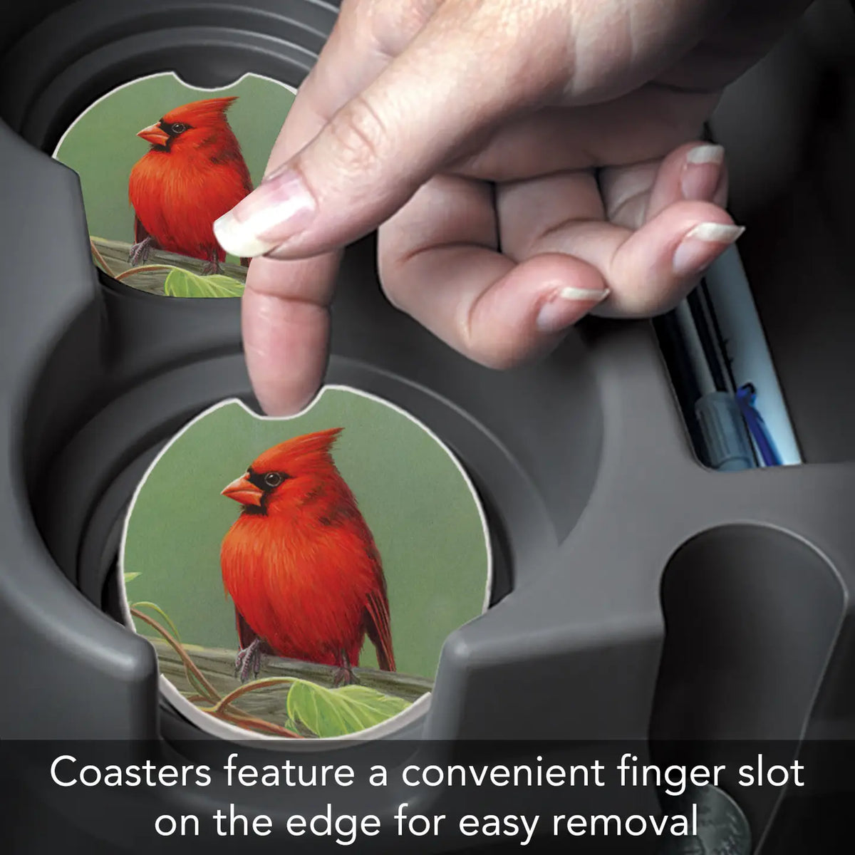 Railbirds Car Coaster