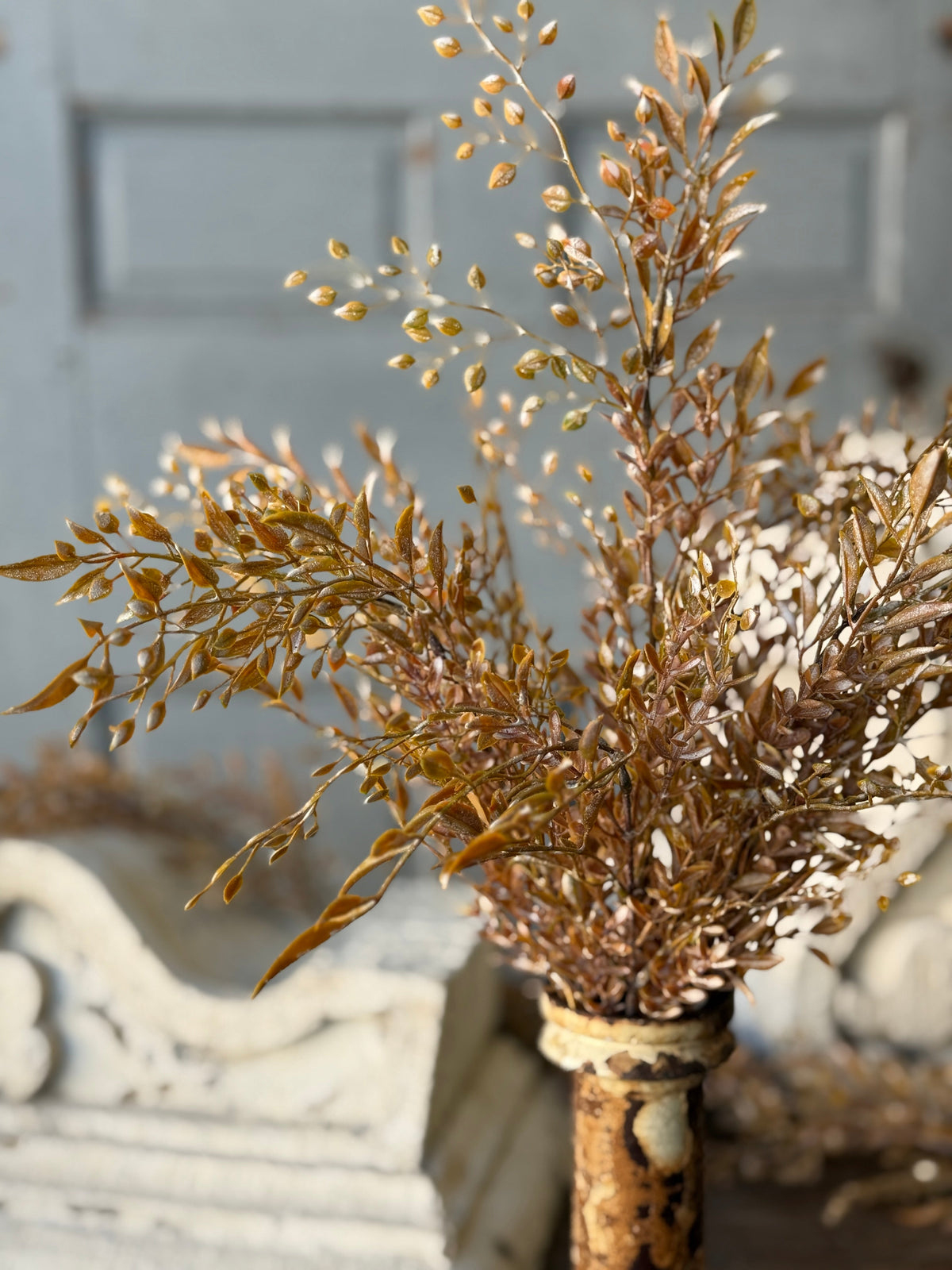 Ambermist Sage Bush