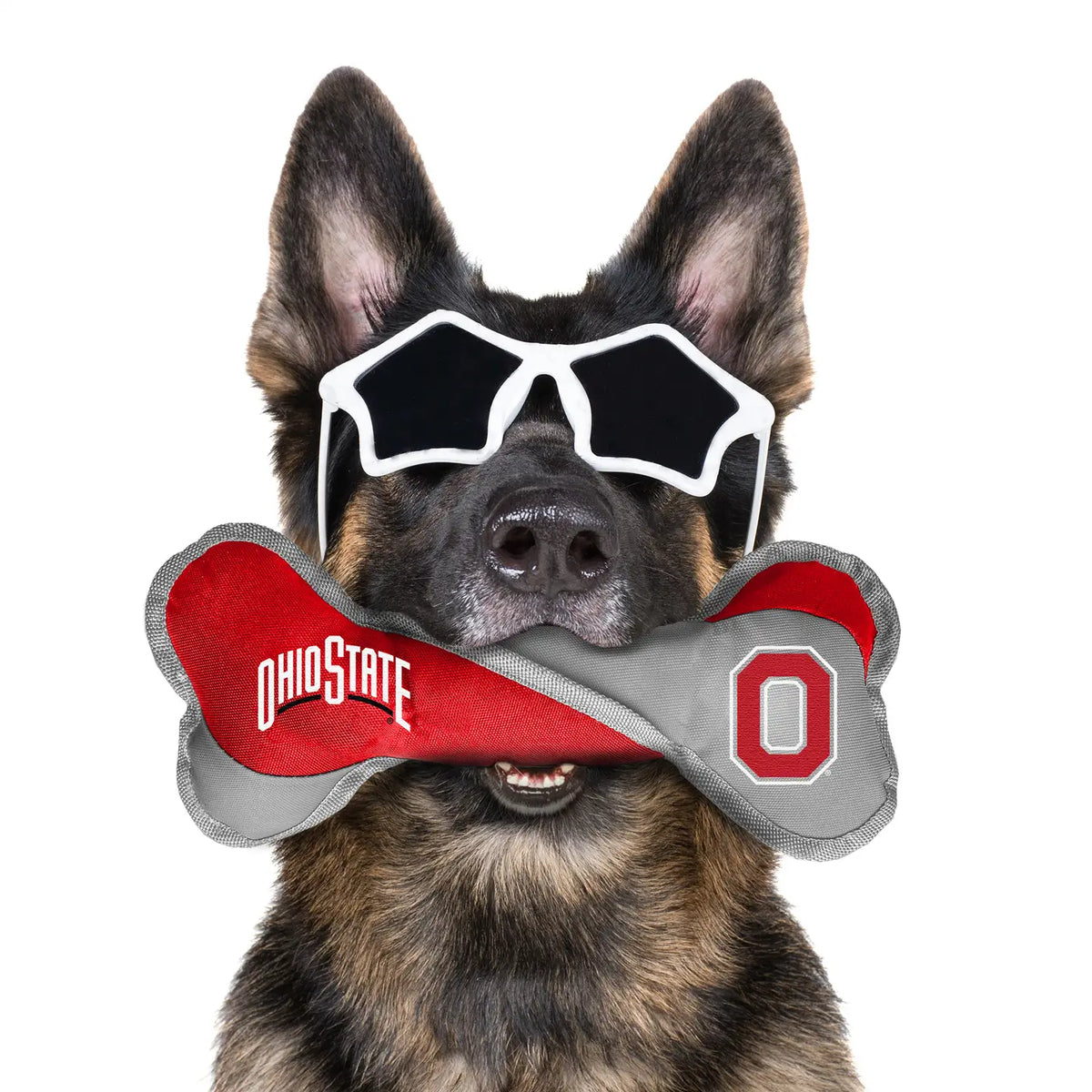 Ohio State Buckeyes Pet Tug Bone