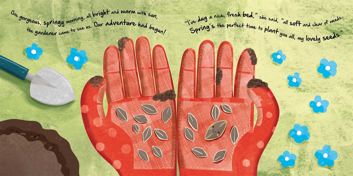 Little Sunflower Board Book