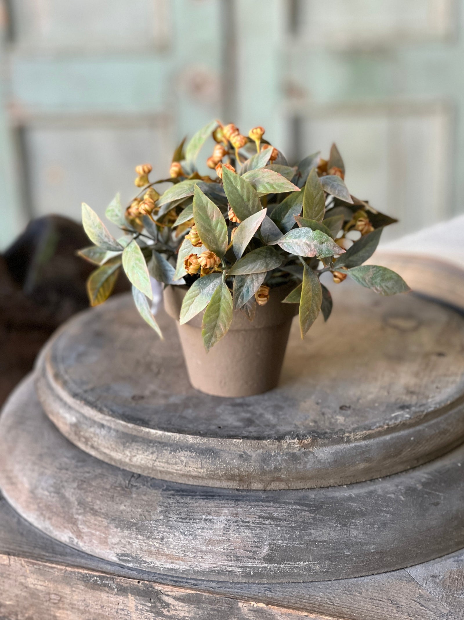 Trifle Blooms Pot