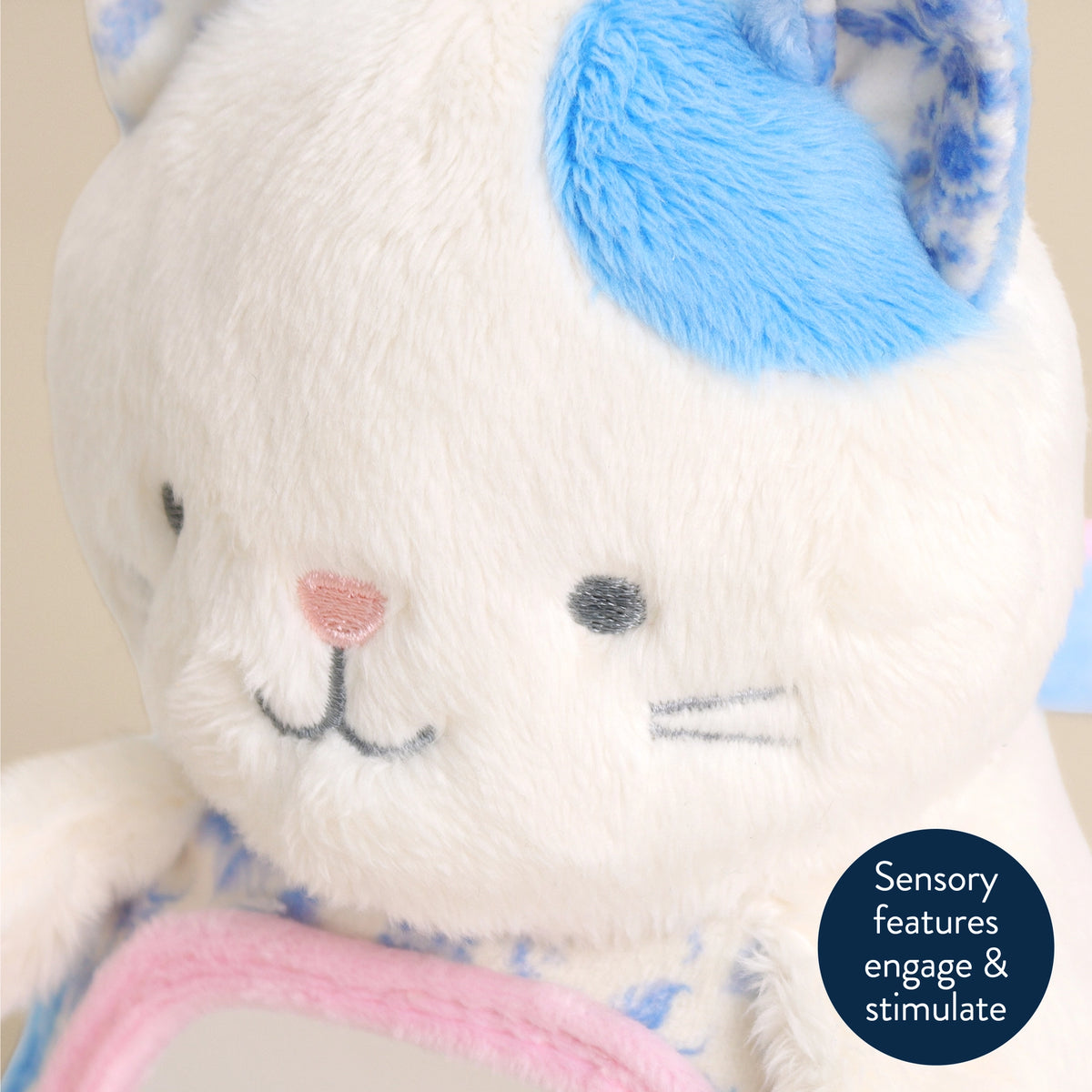 Itzy Bitzy Kitty Mirror