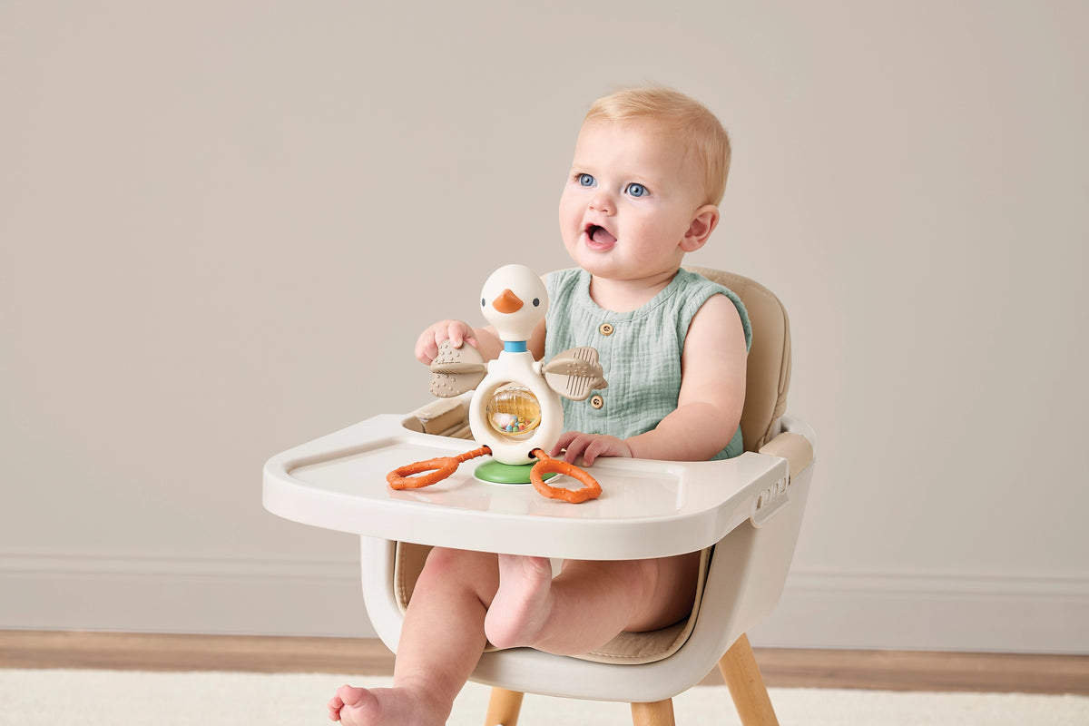 Itzy Twist and Bop Goose Sensory Toy