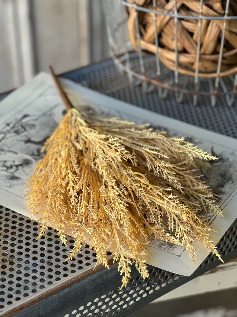 Wildthorn Bush - Wheat