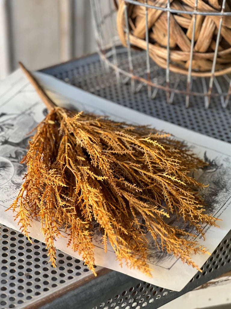 Wildthorn Bush - Maize