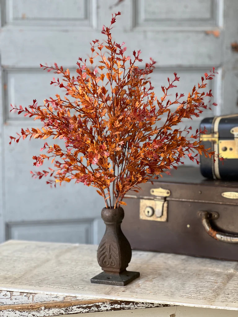 Ever Embers Bush