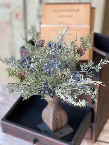 Siberian Cypress Bush - Blue