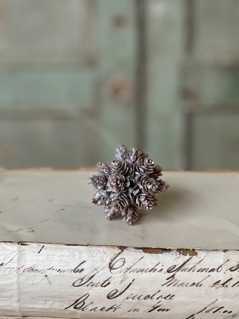 Star Cone Ornament