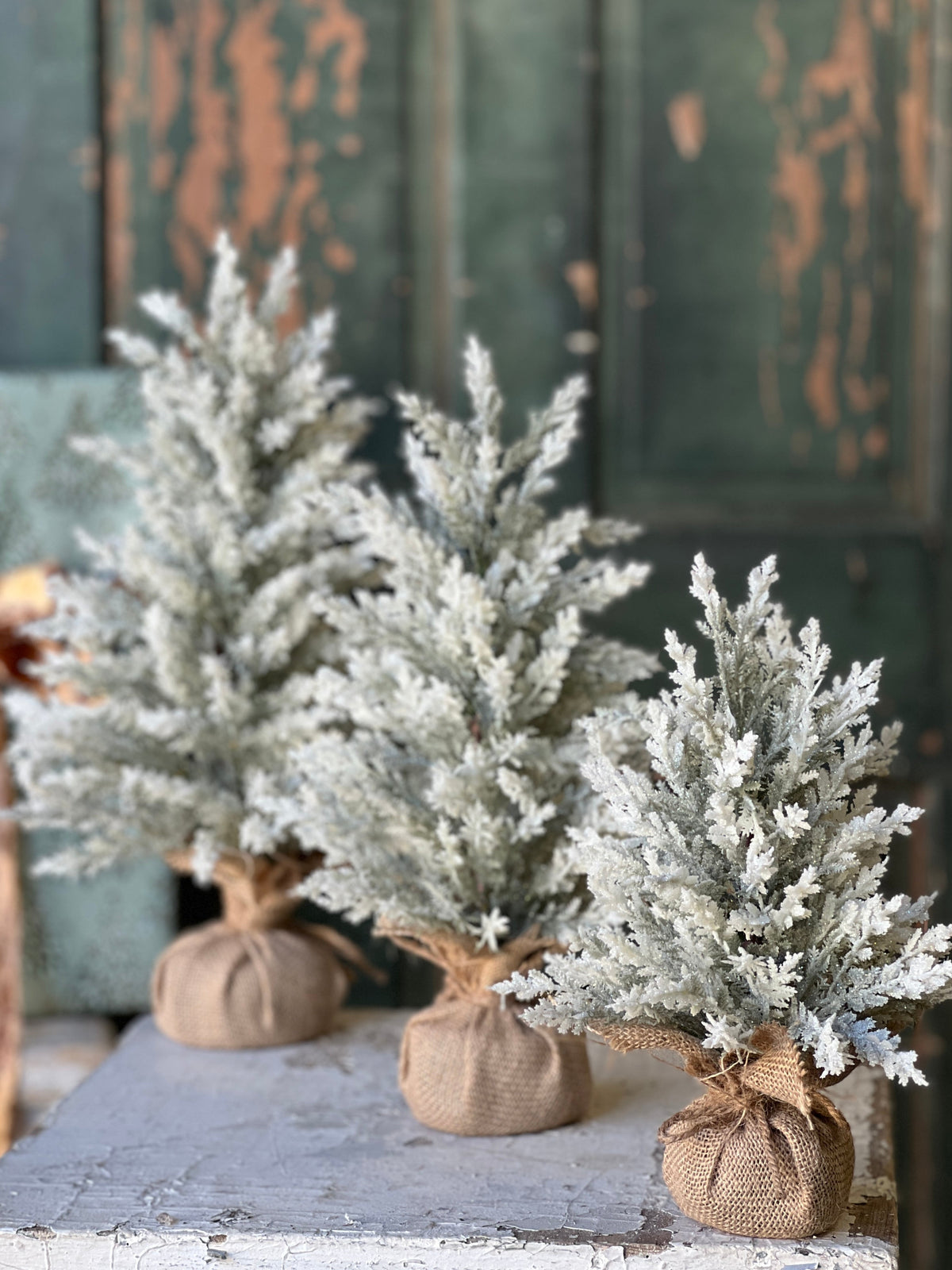 Icy Frostline Tree - 3 Sizes