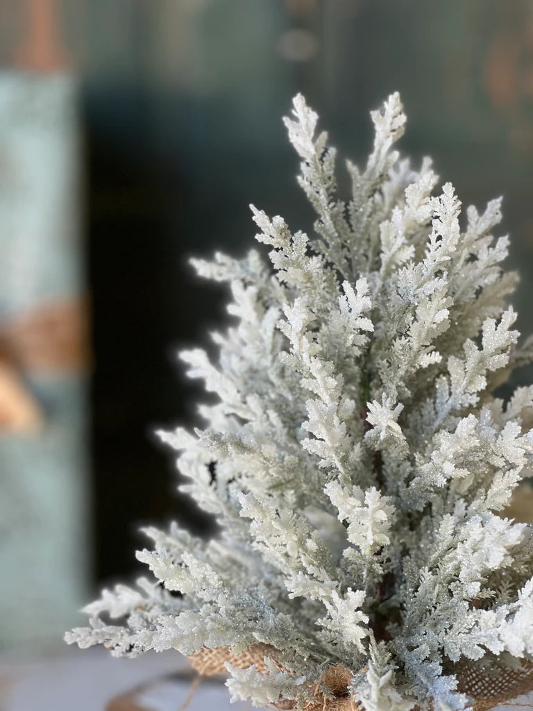 Icy Frostline Tree - 3 Sizes