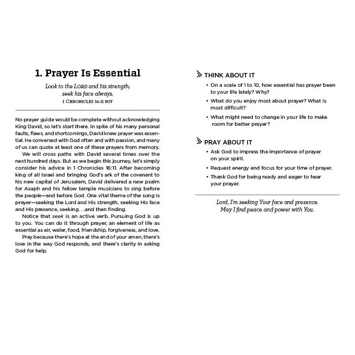 100 Day Prayer Guide for Men
