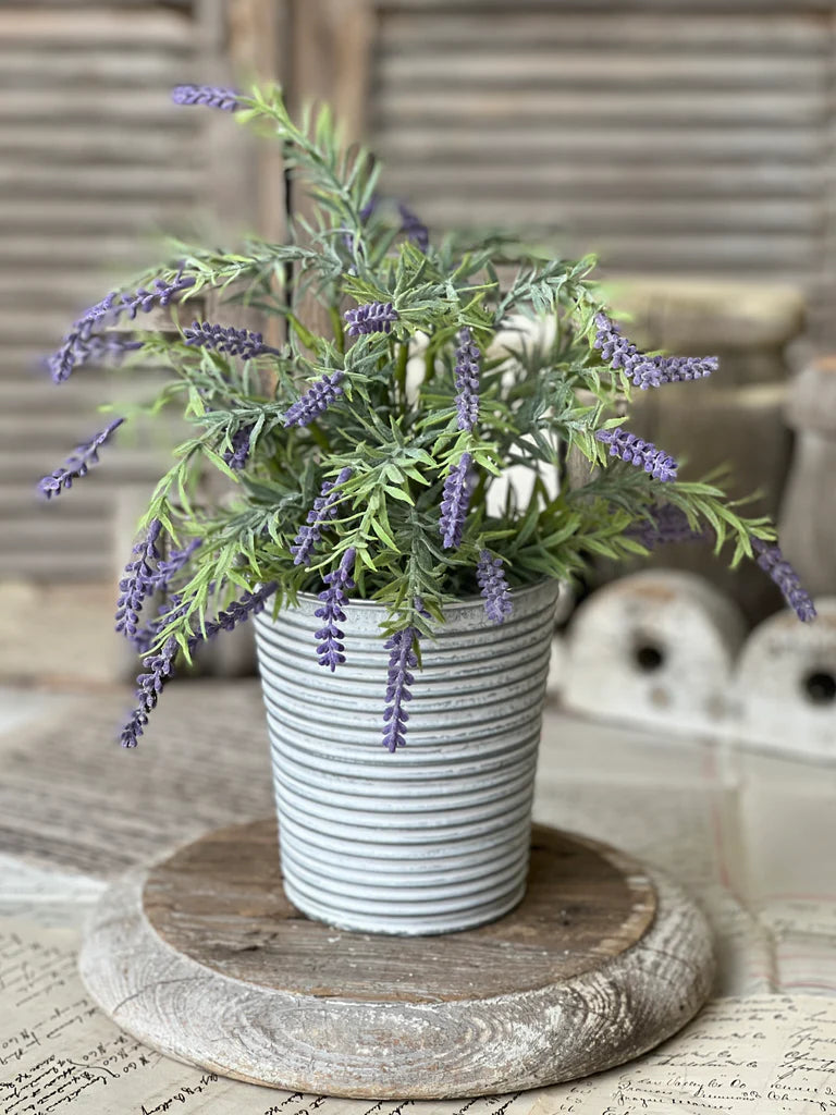 Freshfield Lavender Pot