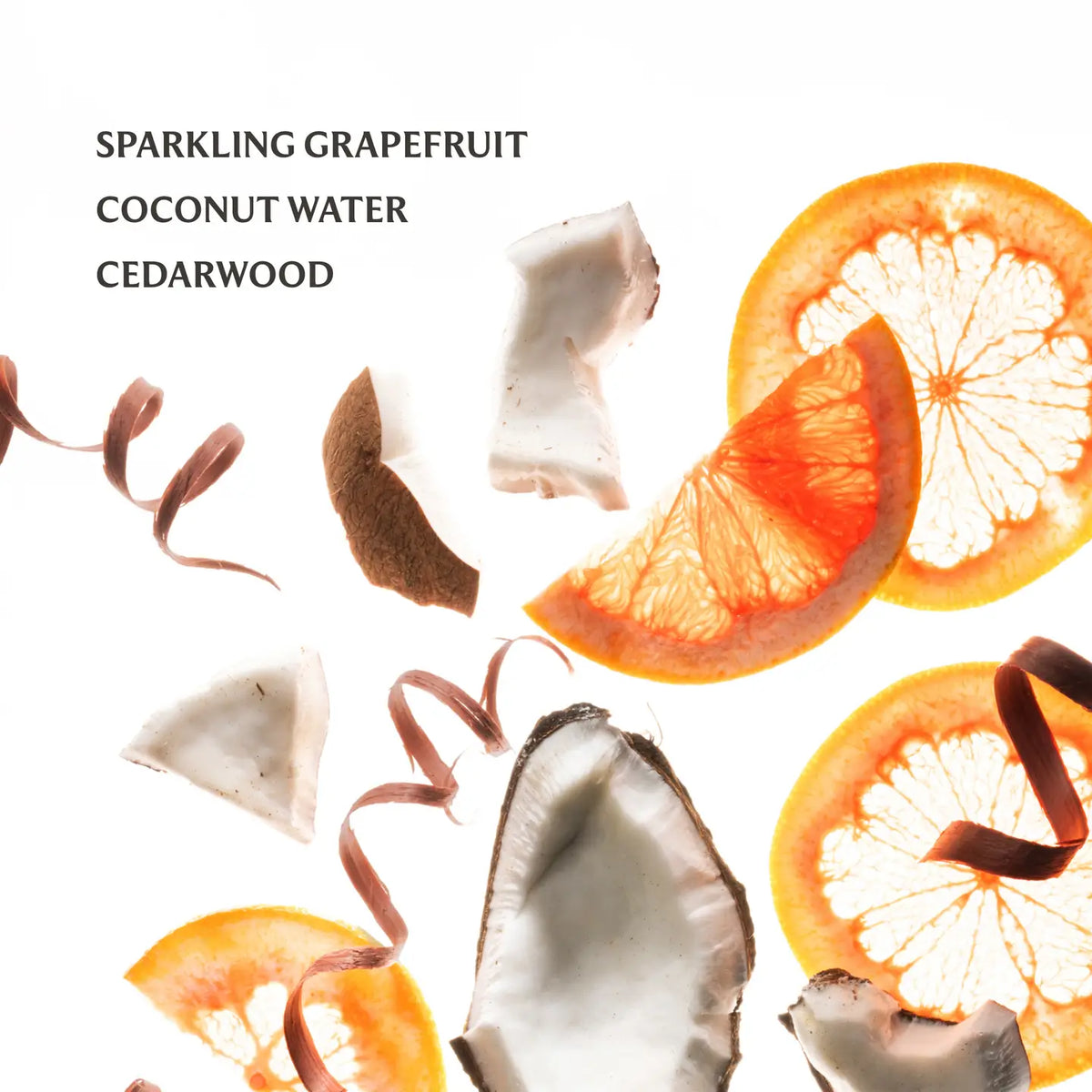 Touchland Hand Sanitizer - Beach Coco