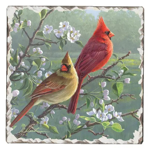 Cardinals Tumbled Tile Coaster