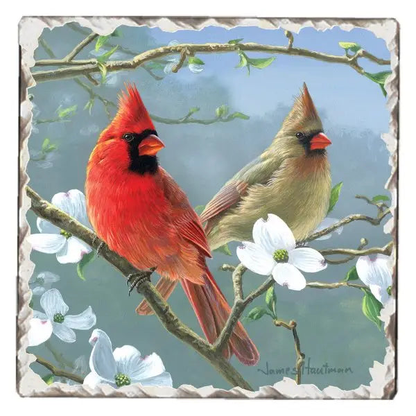 Cardinals Tumbled Tile Coaster